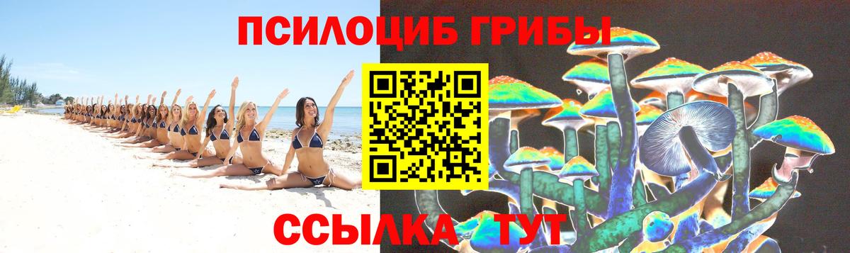 Ипатово  Псилоцибиновые грибы GOLDEN TEACHER  Вход с VPN  где можно купить наркотик  Галлюциногенные грибы Cubensis 